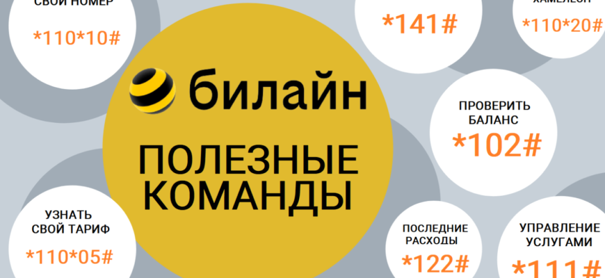 Оплата с помощью sms на номер 3065